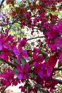 Springtime 2019 Weekly Planner Flowering Tree Branches Full Bloom 134 Pages