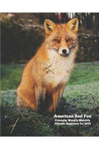 American Red Fox Calendar Weekly Monthly Planner Organizer for 2019