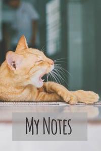 My Notes