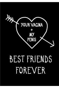 Your Vagina + My Penis, Best Friends Forever