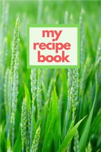 My Recipe Book