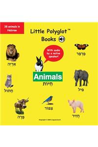 Animals