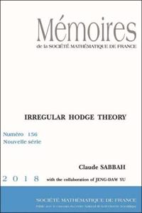 Irregular Hodge Theory