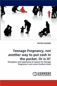 Teenage Pregnancy, Not Another Way to Put Cash in the Pocket. or Is It?