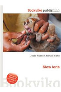 Slow Loris