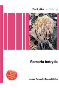 Ramaria Botrytis