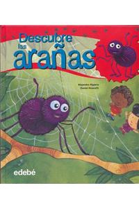 Descubre las arañas / Discover the spiders