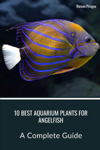 10 Best Aquarium Plants for Angelfish