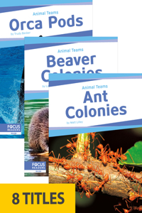 Animal Teams (Set of 8)