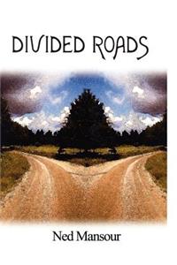 Divided Roads