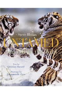 Untamed: Animals in the Wild