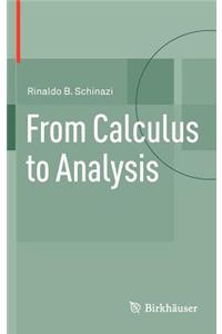 From Calculus to Analysis
