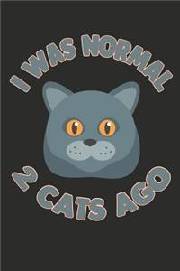 I Was Normal 2 Cats Ago