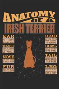 Anatomy Of A Irish Terrier