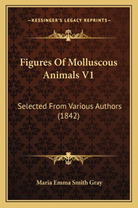 Figures Of Molluscous Animals V1