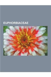 Euphorbiaceae: Cassava, Castor Oil Plant, Taxonomy of the Euphorbiaceae, List of Croton Species, Aleurites Moluccana, Jatropha Oil, M