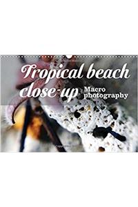 Tropical Beach Close-Up Macro Photography 2017