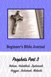 Beginner's Bible Journal