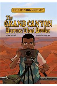 Field Trip Mysteries: The Grand Canyon Burros That Broke