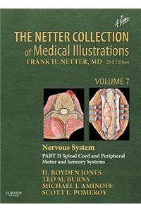The Netter Collection of Medical Illustrations: Nervous System, Volume 7, Part II - Spinal Cord and Peripheral Motor and Sensory Systems
