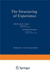 Structuring of Experience