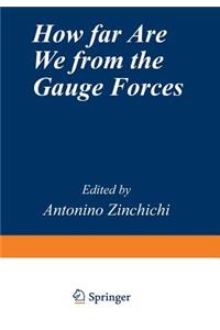 How Far Are We from the Gauge Forces