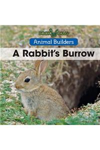 A Rabbit's Burrow