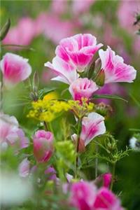 Mind Blowing Wild Flower Journal