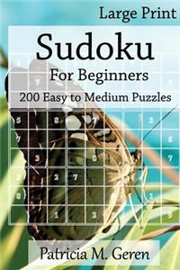 Large Print Sudoku For Beginners
