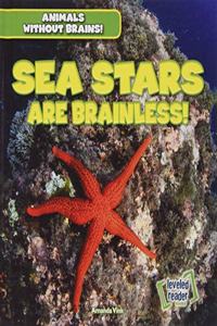 Sea Anemones Are Brainless!