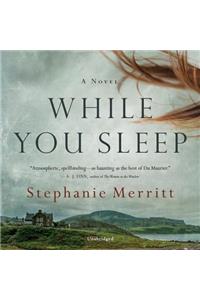 While You Sleep Lib/E