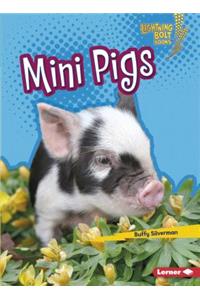Mini Pigs