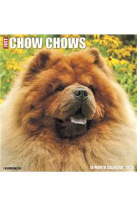 Just Chow Chows 2020 Wall Calendar (Dog Breed Calendar)
