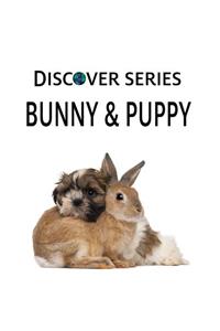 Bunny & Puppy