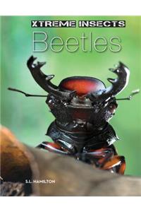Beetles