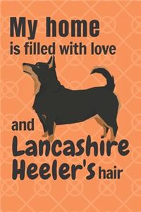 My home is filled with love and Lancashire Heeler's hair