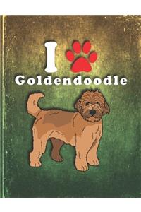 Goldendoodle