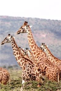 Giraffen wandern Notizbuch