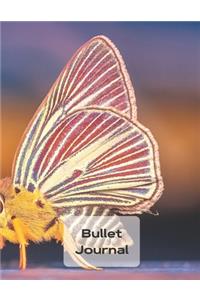Bullet Journal