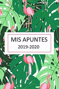 `mis apuntes: lindo cuaderno de apuntes para mujer, libreta para escribir apuntes y metas importantes con 120 pagina en blanco