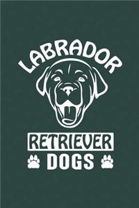 Labrador Retriever Dogs