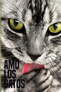 amo los gatos