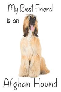 My best Friend is an Afghan Hound