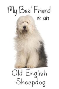 My best Friend is an Old English Sheepdog