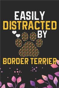 Easily Distracted by Border Terrier