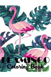 Flamingo Coloring Book