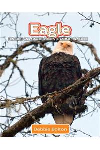 Eagle: Fun Facts and Amazing Photos of Animals in Nature