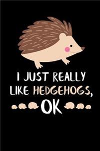 I Just Really Like Hedgehogs, Ok