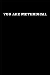 You Are Methodical