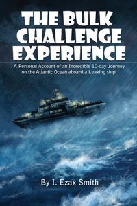 Bulk Challenge Experience